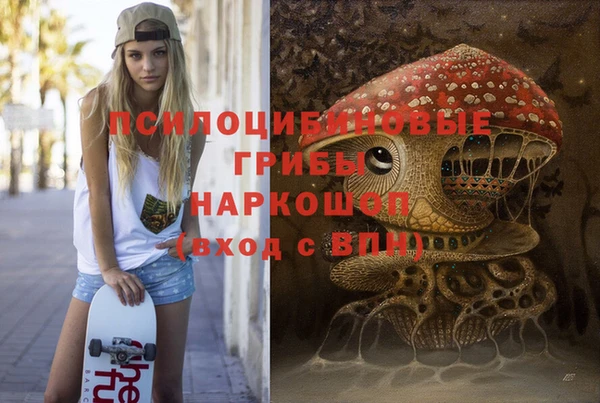 прущая мука Горняк
