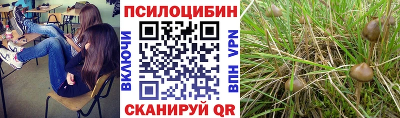 Псилоцибиновые грибы ЛСД  кракен онион  Талдом 